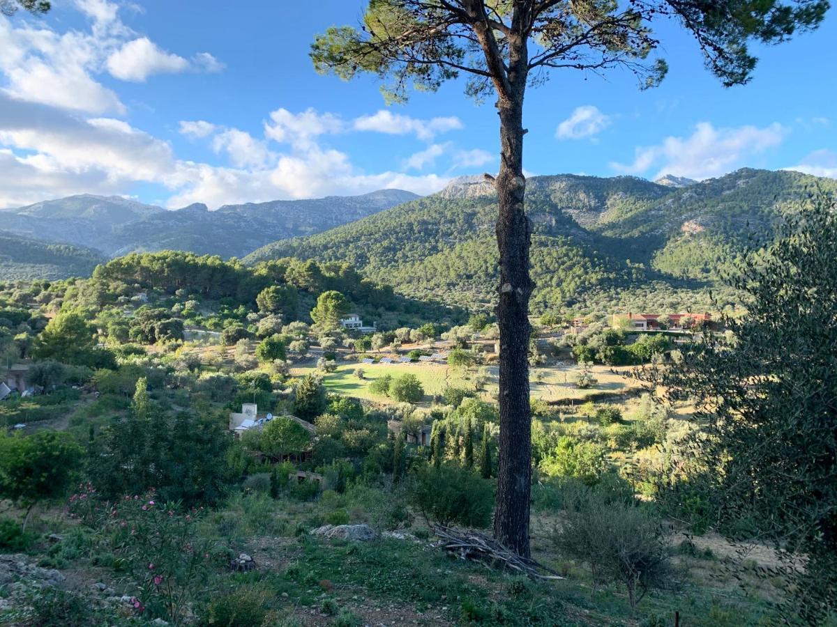 Sa Penya D'es Vent Hébergement de vacances Selva (Mallorca)